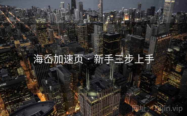 海岙加速页 · 新手三步上手