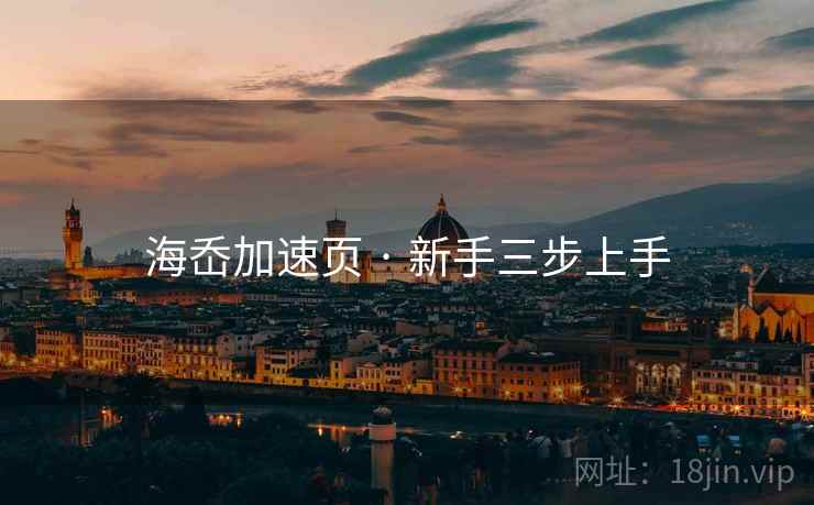 海岙加速页 · 新手三步上手