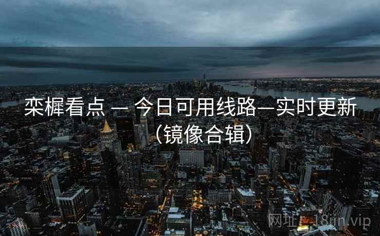 栾樨看点 — 今日可用线路—实时更新（镜像合辑）