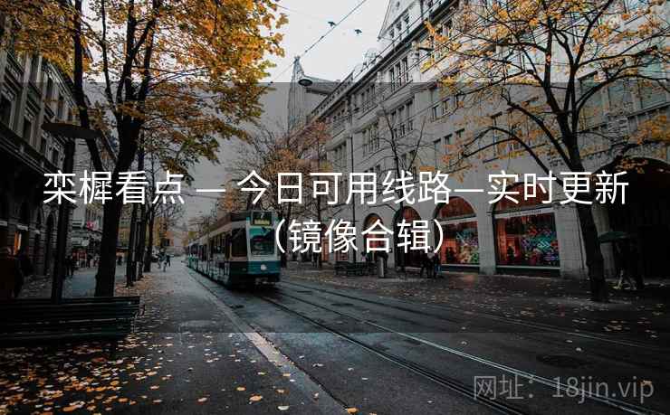 栾樨看点 — 今日可用线路—实时更新（镜像合辑）
