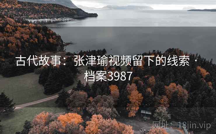 古代故事：张津瑜视频留下的线索 · 档案3987